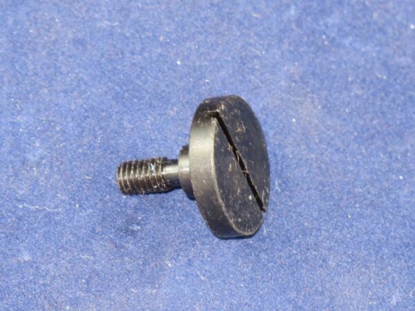 A small Cover Screw on a blue surface.